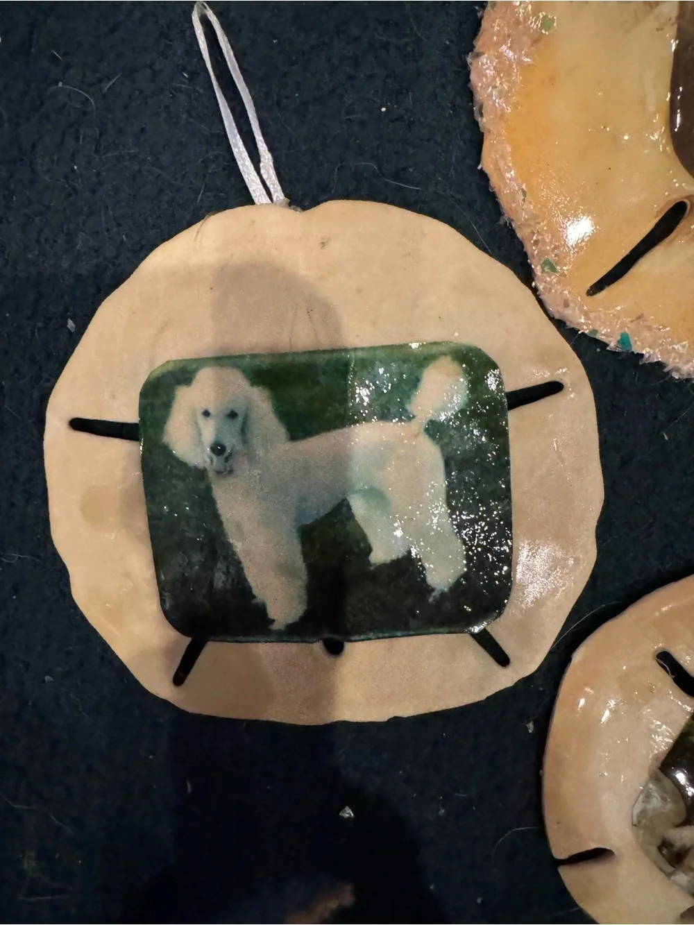 Handmade Beige real  Sand Dollar Pet Photo Ornament -all of them